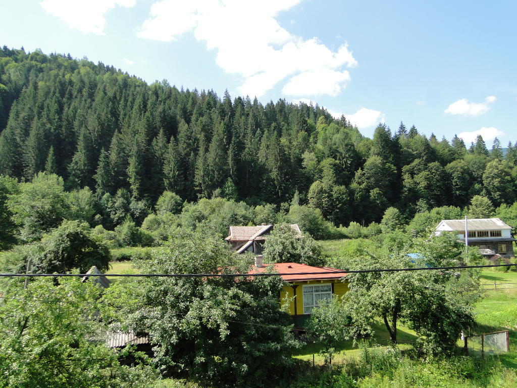 Villa Bilogirya Jaremcse Kültér fotó